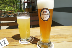 hallerstein-06