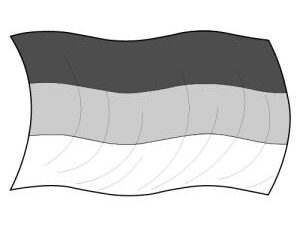 Fahnen/Zubehör
