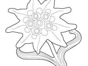 Abzeichen