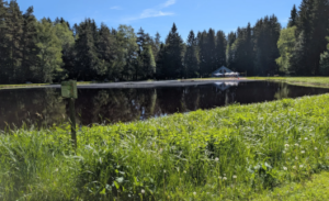 Waldbad Tröstau